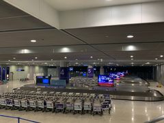 -合肥新桥国际机场-航站楼
