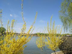 -石家庄市植物园