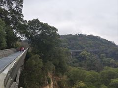 -福道