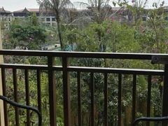 -西双版纳融创皇冠假日度假酒店