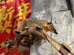 点击看大图 -Zoolung Zoolung动物主题公园(海信广场店)