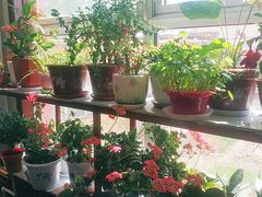 -北京龙庆四季香农家饭庄·灶台鱼·碳烤虹鳟鱼(龙庆峡店)