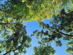 -浙江西子宾馆·瑶园咖啡厅