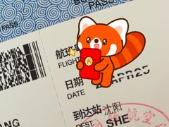 -厦门高崎国际机场-T4航站楼