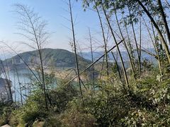 -长沙黑麋峰国家森林公园