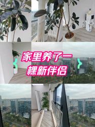 -HEYAN荷妍专业脱毛连锁机构