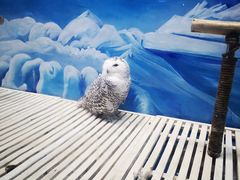 -成都浩海立方海洋公园