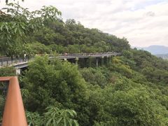 -金鸡山公园