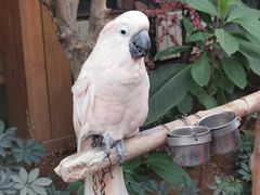 -南宫五洲植物乐园