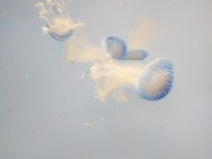 -常州海昌海洋探索馆