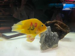 -造物庄园 萌宠纪(苏州湾歌林公园店)