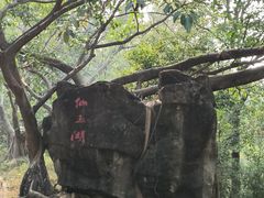 -大雁山风景区
