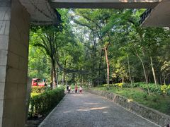 -WeLope紫金山探险公园