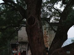 -上坦村