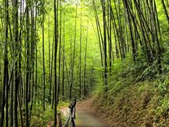 -千泷沟大瀑布旅游区