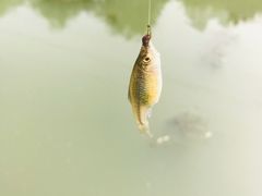 -东方国际水产中心-停车场