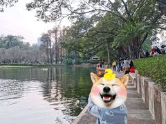-晓港公园