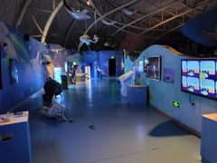 -烟台海昌鲸鲨海洋公园