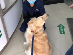 -爱侣宠医·鹦鹉专科·小型哺乳类·异宠专科(灵石路店)