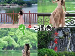 -鼎香皇高佬苏裹蒸粽