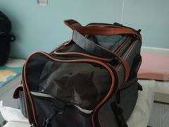 -纳吉亚猫专科动物医院·北北分院