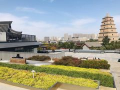 -大雁塔北广场音乐喷泉