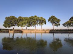 -嘉北郊野公园