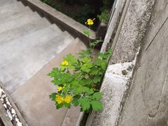 -龙庆峡风景区