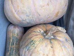 -乡乐园蟹庄·阳澄湖农家乐