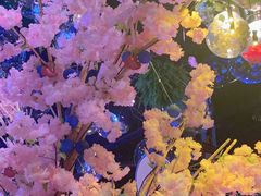 -胡桃里音乐酒馆(四道口店)