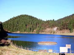 -武陵山森林公园