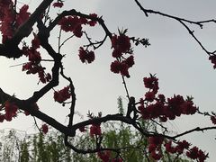 -元大都城垣遗址公园