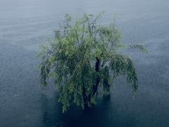-千岛湖城中湖游船码头