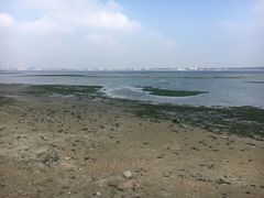 -霞山观海长廊
