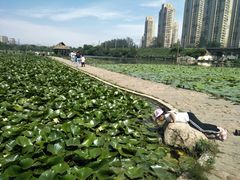 -前关湿地公园