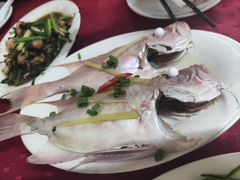 清蒸/红烧马友鱼-蛇口康乐快餐鱼仔档(翠苑小区店)