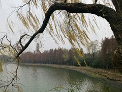 -长广溪湿地公园