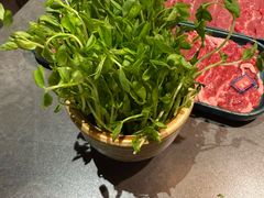 -牛村来人潮汕牛肉火锅(西单店)