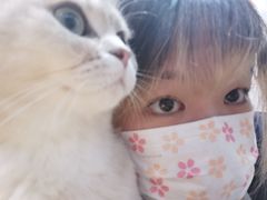 -逗柴咖啡屋·狗咖猫咖宠物桌游