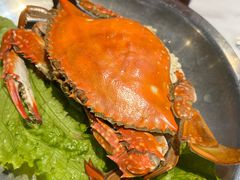 -海卫蚝情·海鲜烧烤