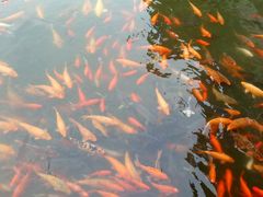 -威海华夏城景区