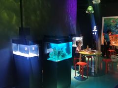 -沈阳海洋探索中心