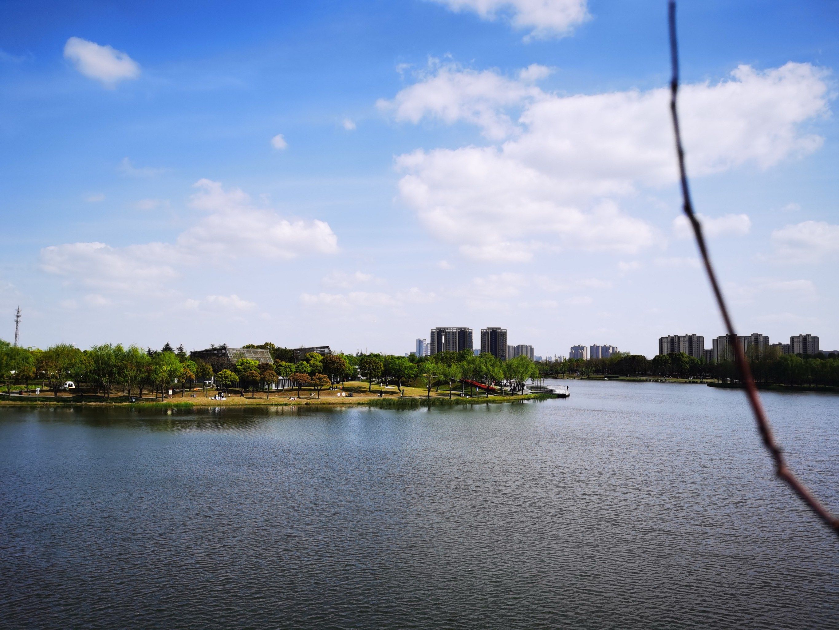 远香湖