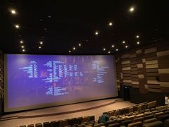 -武商摩尔影城(国广IMAX激光店)