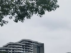 -碧海金沙