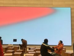 -Apple零售店(济南恒隆广场店)