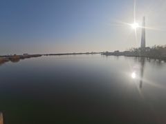 -合肥滨湖国家森林公园