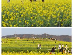 -光明小镇欢乐田园