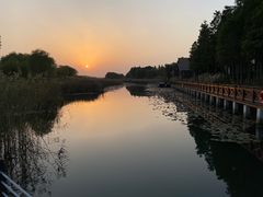 -苏州太湖湖滨国家湿地公园