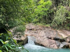 -广州白江湖森林公园